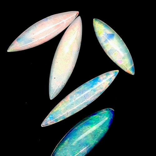 OPAL
