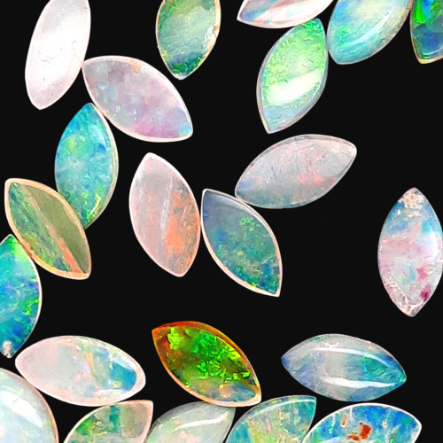 OPAL