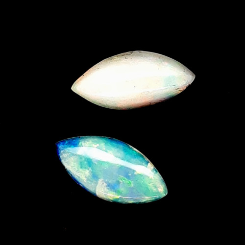 OPAL