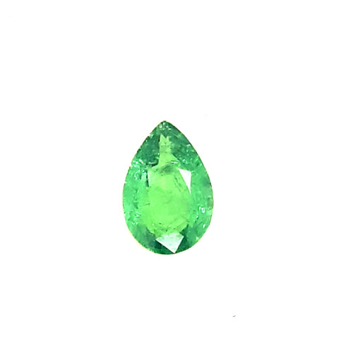 GARNET