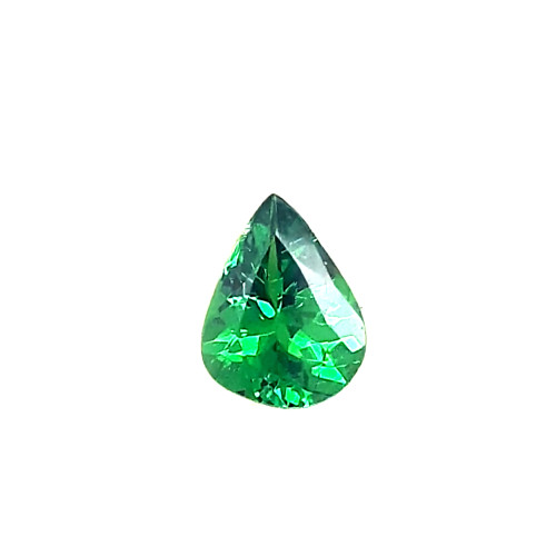 GARNET