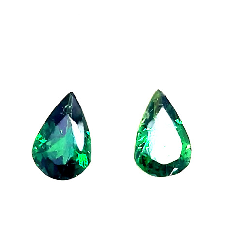 GARNET