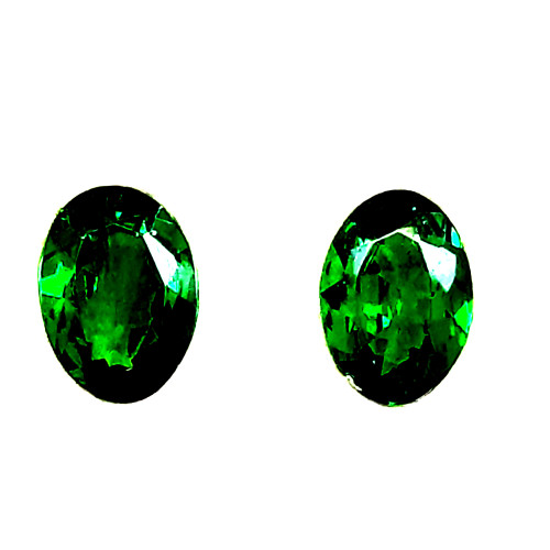GARNET